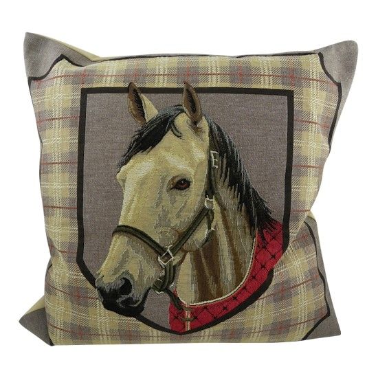 Rotschimmel Rotschimmel