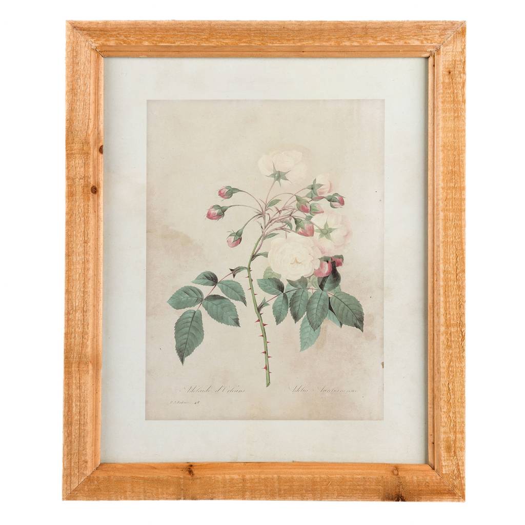 Wandbild Landhaus "Weiße Rose" 33x40 - Villa Jähn | Vintage Deko Shop