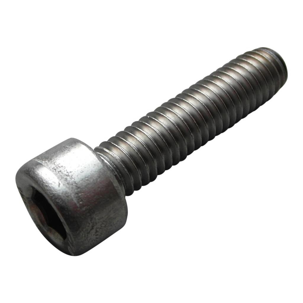 Inbusbout RVS M6 - Lengte 25mm