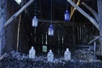 Gionata Gatto and Mike Thompson Trap Light