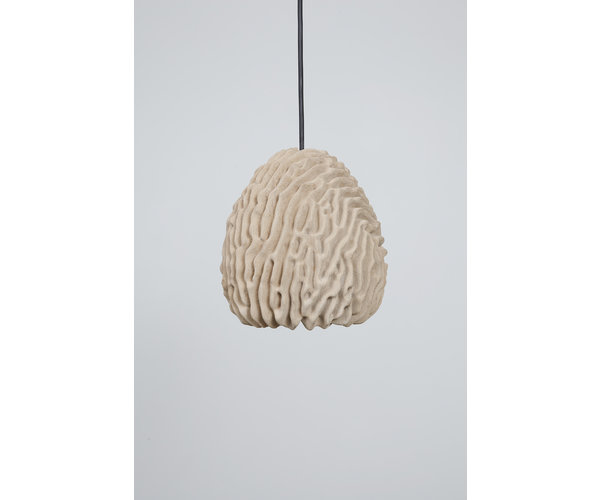 Eric Geboers and Matteo Baldassari Coral Light