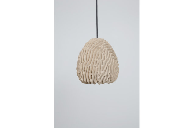 Eric Geboers and Matteo Baldassari Coral Light