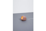 Eric Geboers and Matteo Baldassari Coral Light