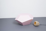 Eric Geboers and Matteo Baldassari Coral Light