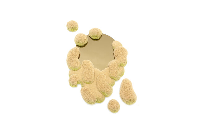 Alfhild Sarah Külper Pure Morning Portal  - vanilla/green