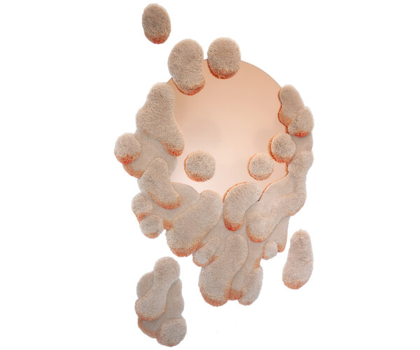 Alfhild Sarah Külper Pure Morning Portal