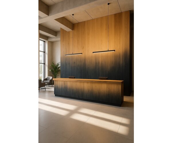 Merel Karhof Airfoil custom lobby