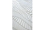 A+N Studio Waves in Motion