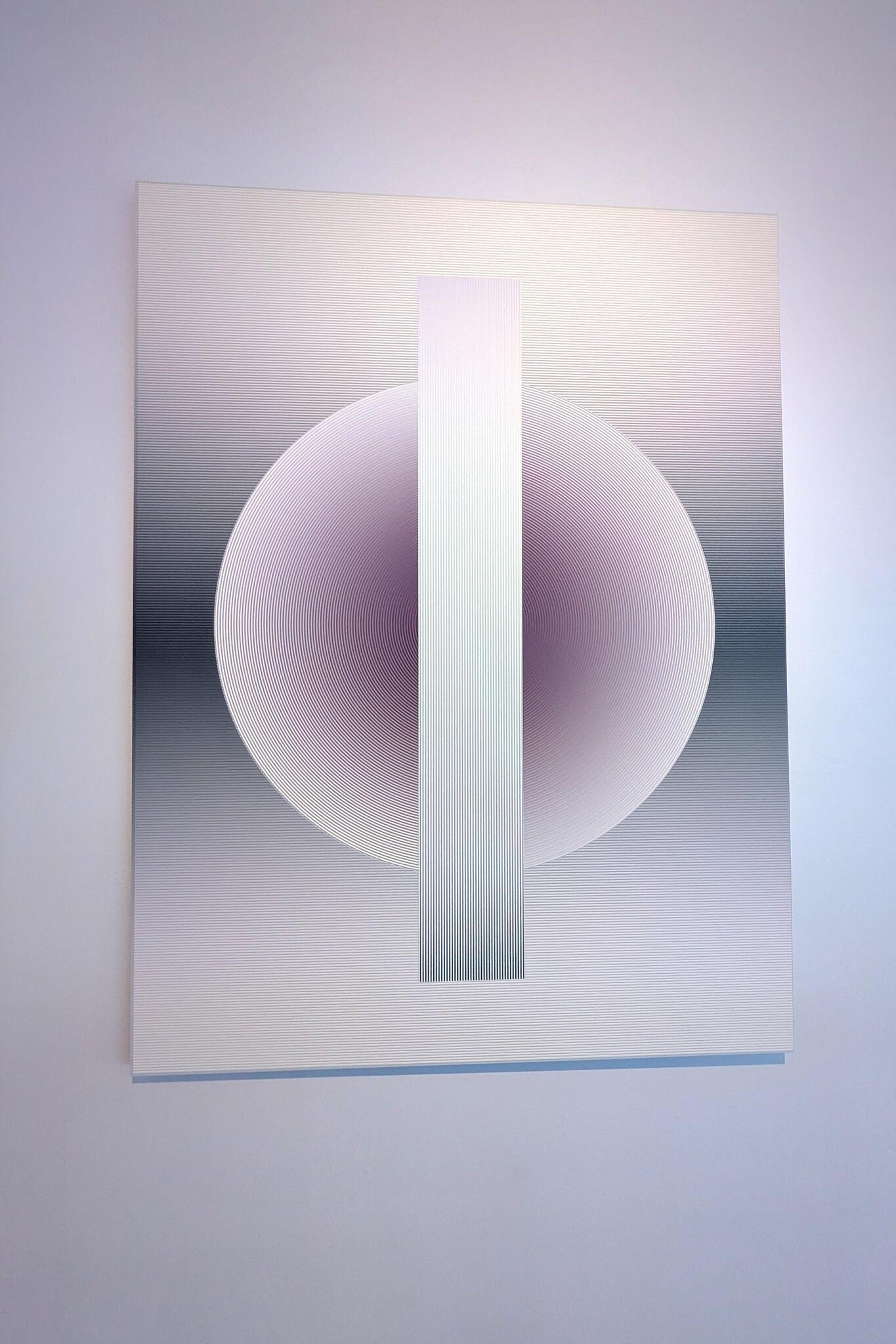 Circle in Motion