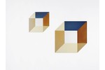 Lex Pott and David Derksen Large Cubic Transience Mirror