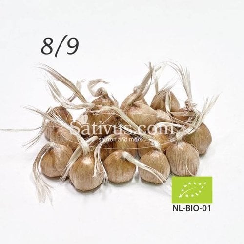 Crocus sativus calibro 8/9 - BIO