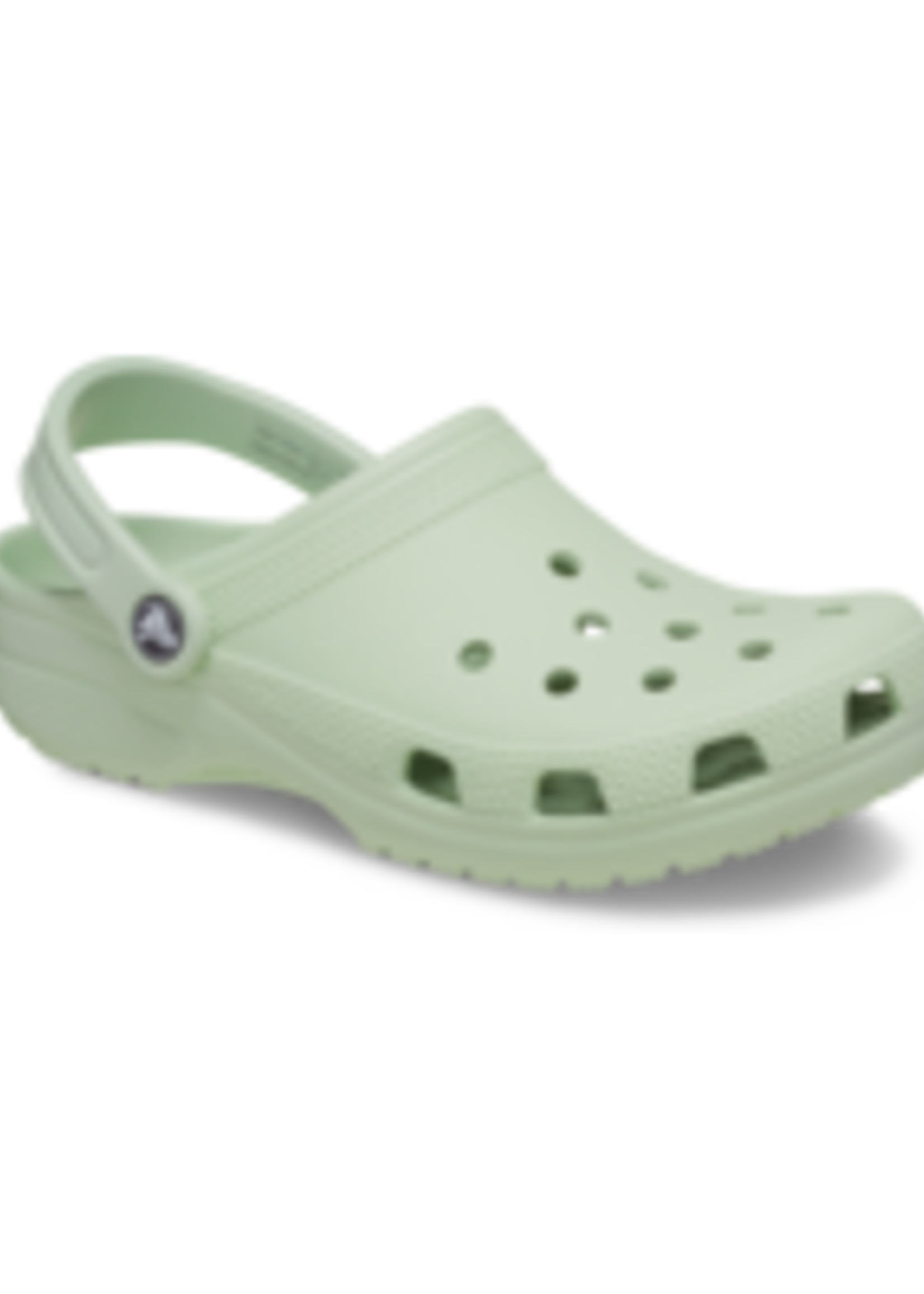 Crocs Classic Clog Plaster