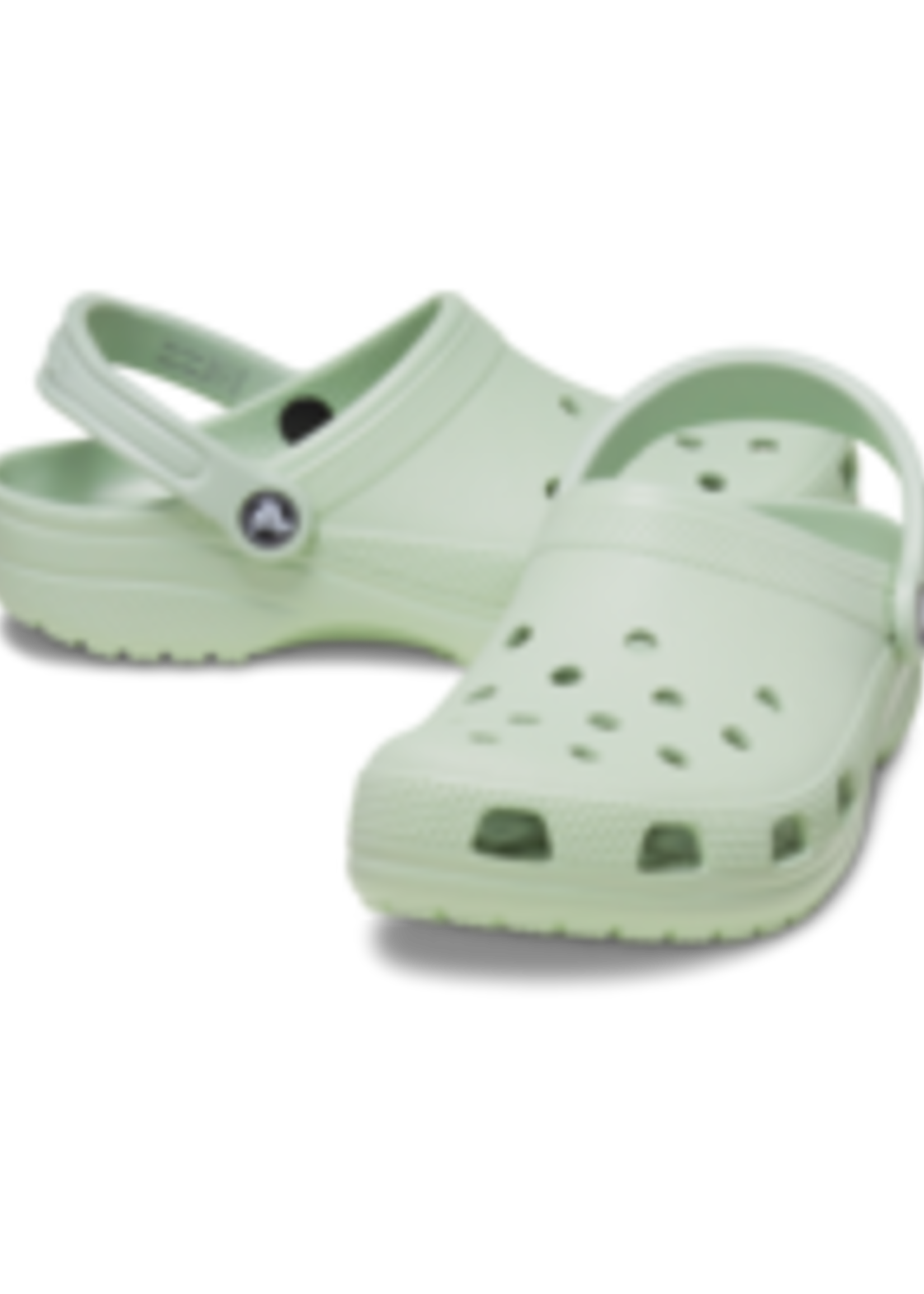 Crocs Classic Clog Plaster