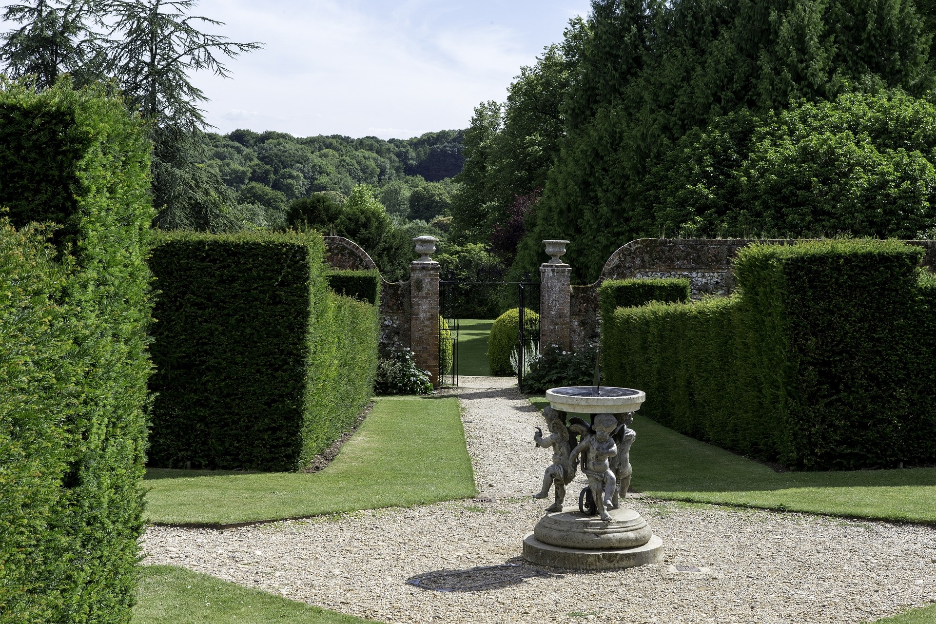 Taxus in park