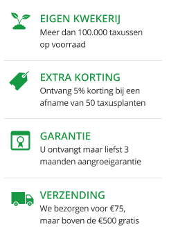TaxusTopper Eigen Kwekerij Extra Korting Garantie en Verzending