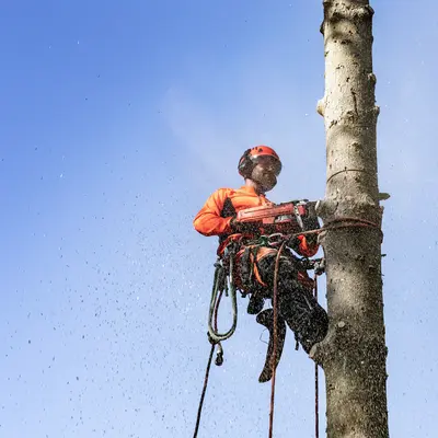 Husqvarna Husqvarna 545 II professionele kettingzaag