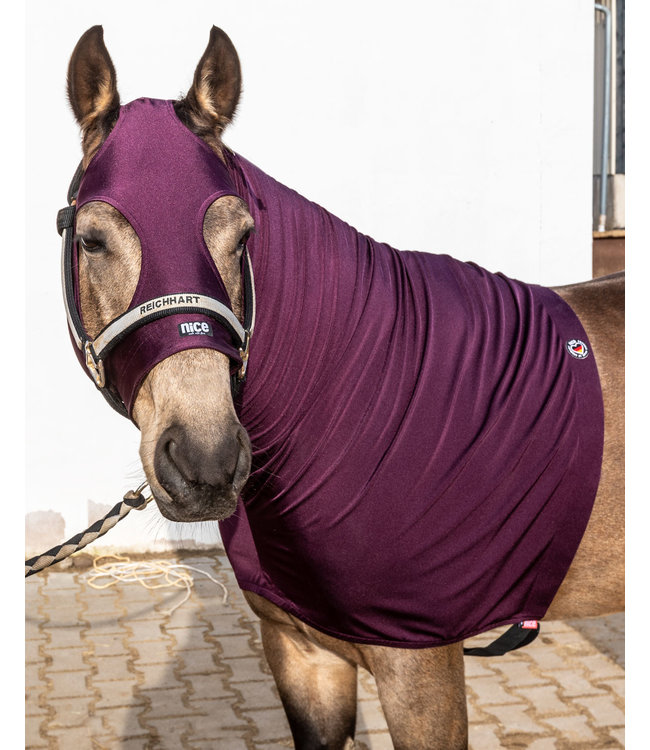 4D Stretch Sleezy Plum Glitter