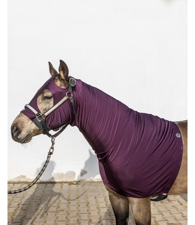 4D Stretch Sleezy Plum Glitzer