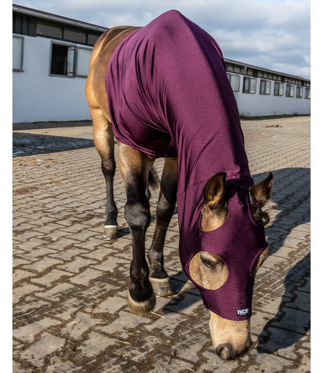 4D Stretch Sleezy Plum Glitzer