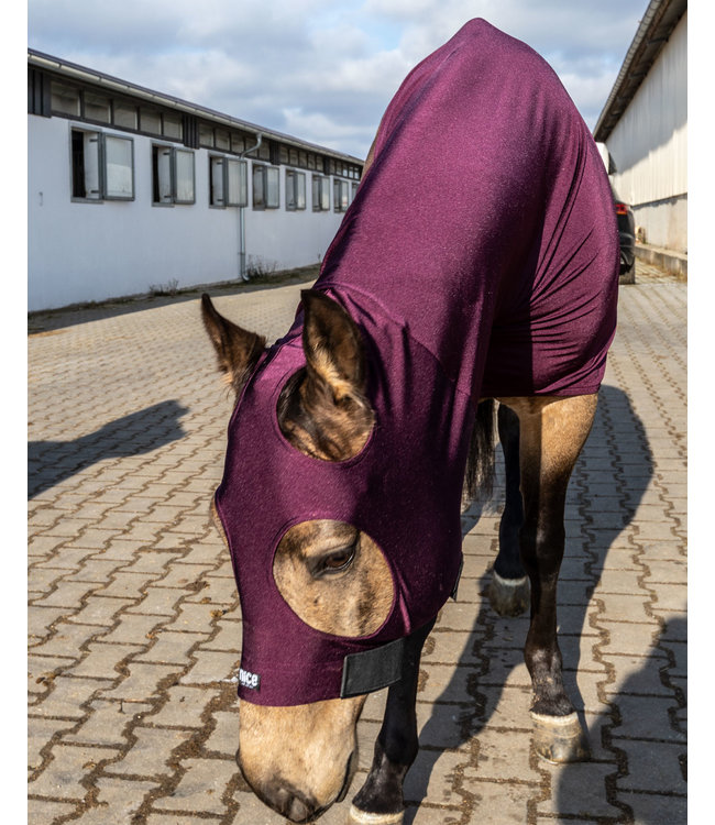 Glitter prugna elegante elasticizzato 4D