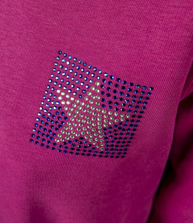 Felpa con cappuccio AMERICANA rosa