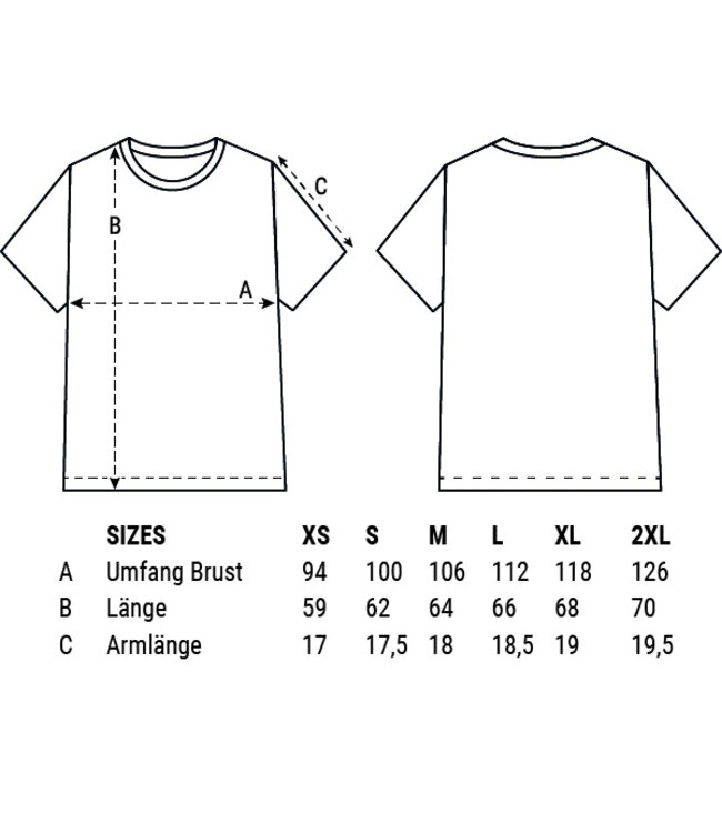 T-Shirt NICE USA grey women