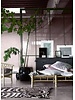 TineKHome Bamboo sunbed with dark grey mattress - 210x80xh36cm