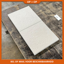 Natuursteenvoordelig Betontegel lichtgrijs gecoat 40x40x4 cm