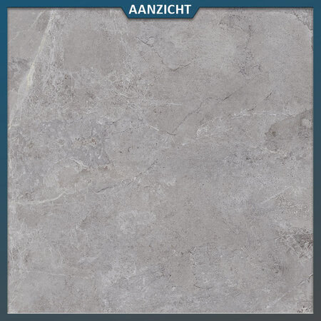 Castelvetro Keramische tuintegel Evolution Grey 100x100x2 cm