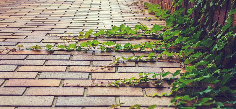 microscoop Welvarend Facet Legverbanden met natuursteen klinkers en tuintegels -  Natuursteenvoordelig.nl