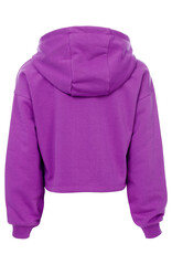 Looxs Hoodie 5303 - paars