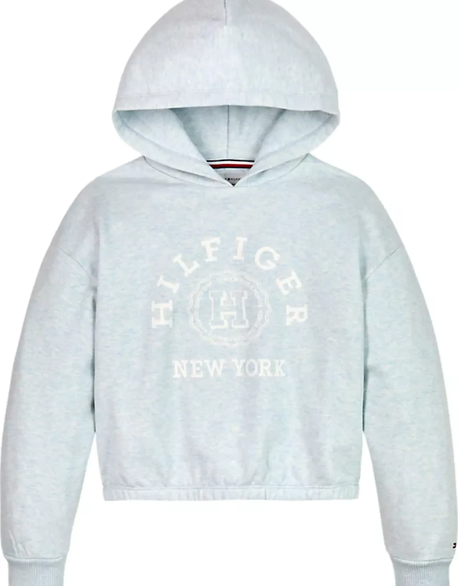 Tommy Hilfiger Hoodie KG0KG07883DY0 - HILFIGER VARSITY HOODIE - lichtblauw