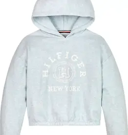 Tommy Hilfiger Hoodie KG0KG07883DY0 - HILFIGER VARSITY HOODIE - lichtblauw