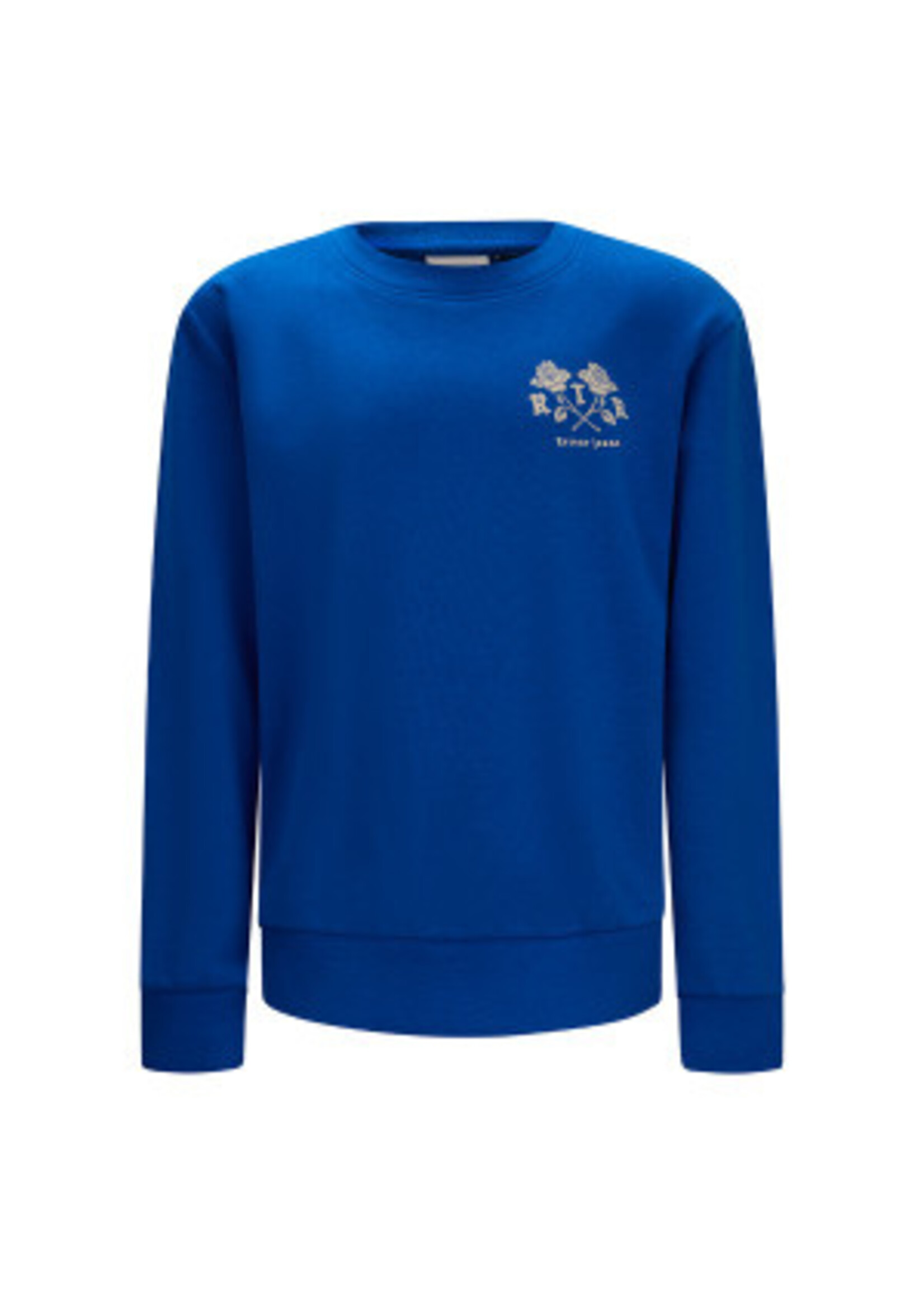 Retour Jeans Sweater Eelco (RJB-051-703) - electric blue