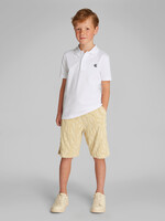 Calvin Klein Polo IB0IB02486YAF - ESSENTIAL SS REG. POLO - wit