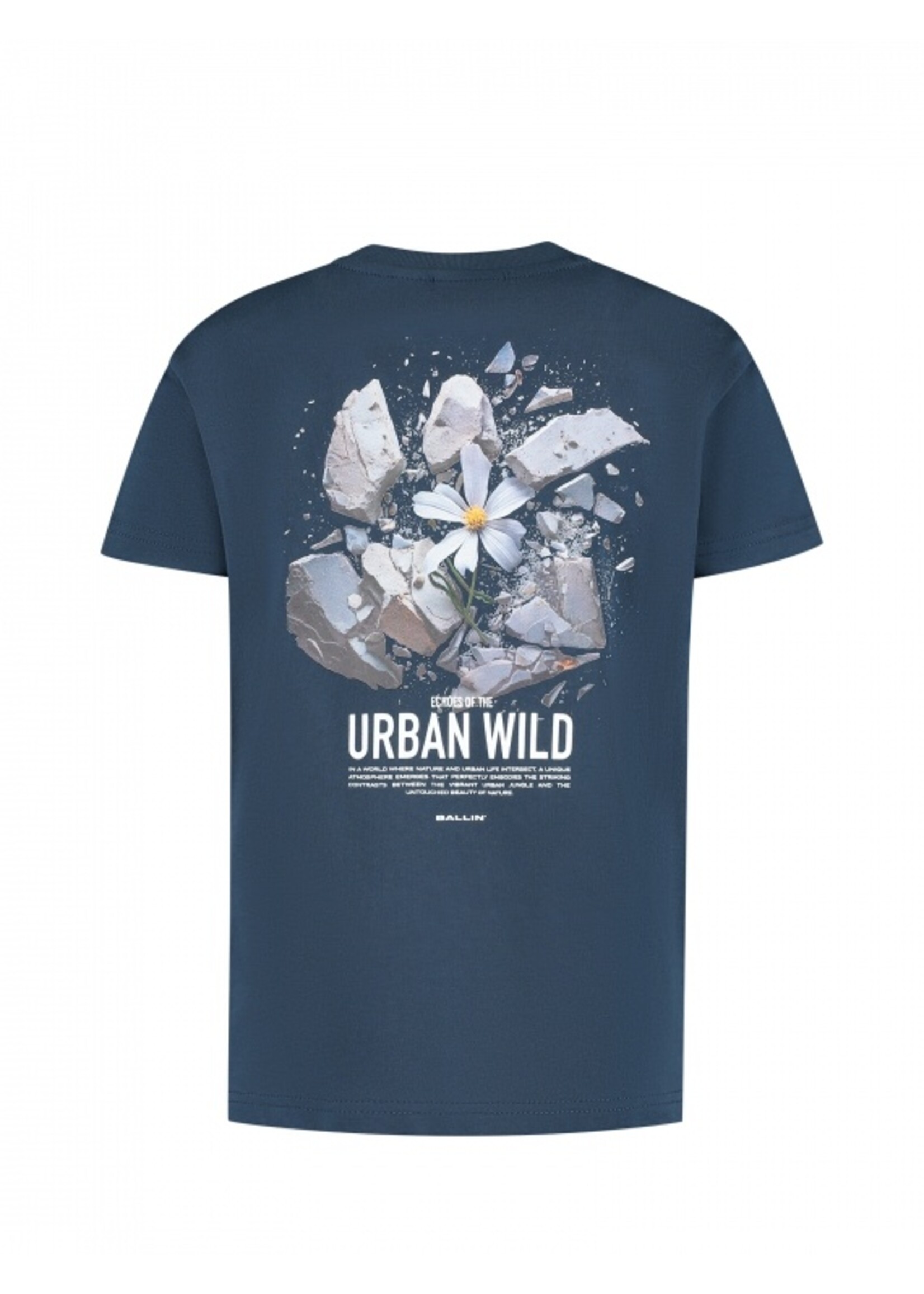 Ballin  Urban Wild Explosion T-shirt (25037121) - navy