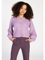 AI&KO Vest Jady - argle purple