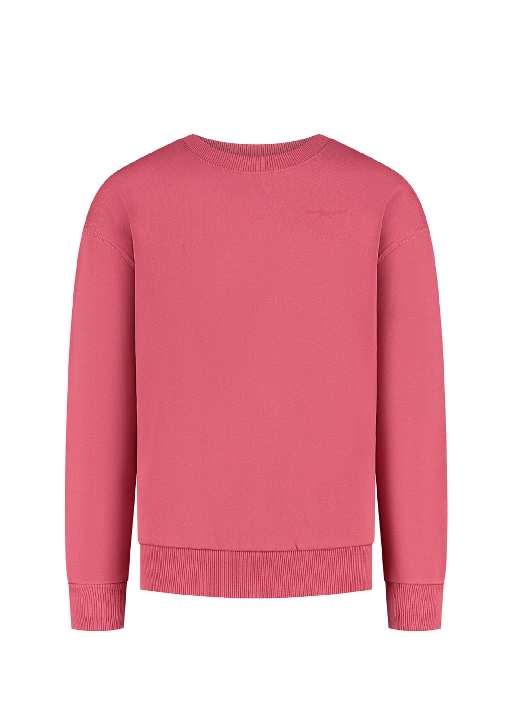 Ballin ZigZag Logo Sweater (25037318) - grapefruit