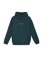 Indian blue jeans Hoodie  960367 - gulf coast