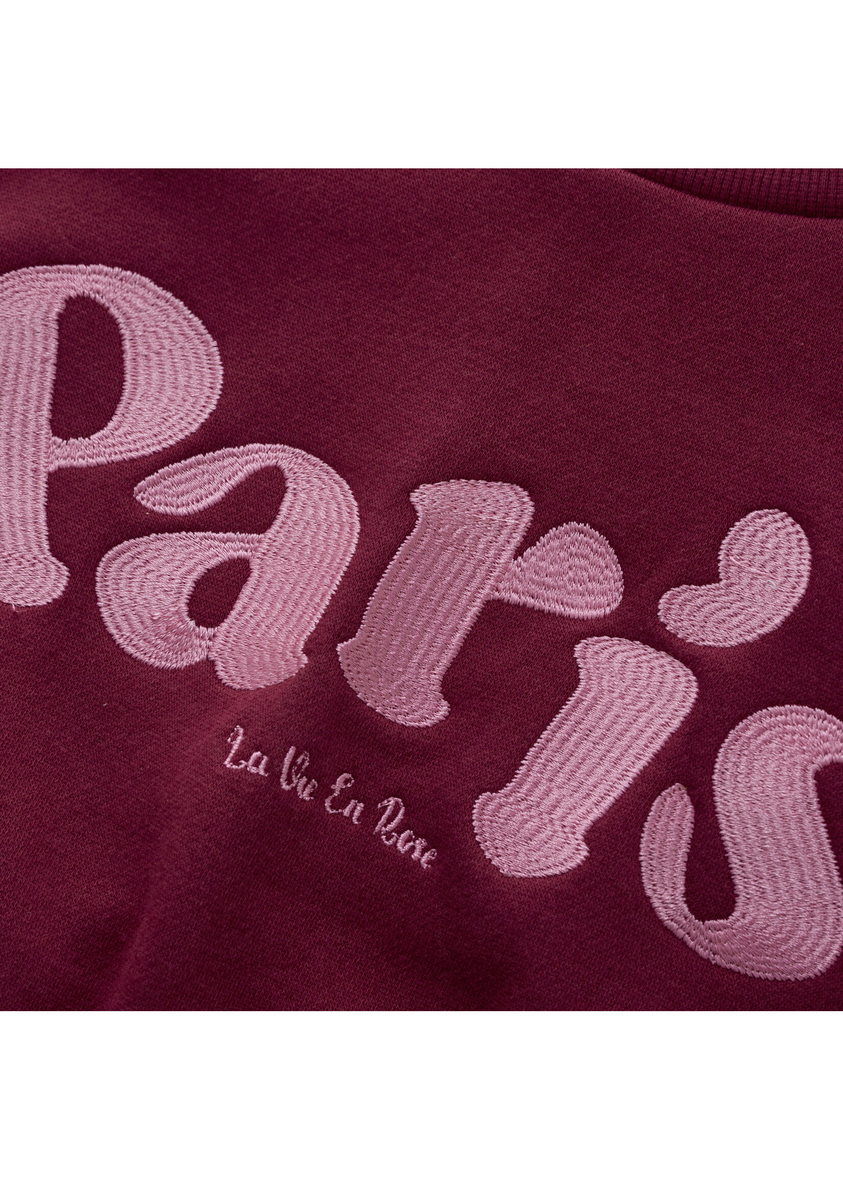 Indian blue jeans Sweater 970327 - bordeaux