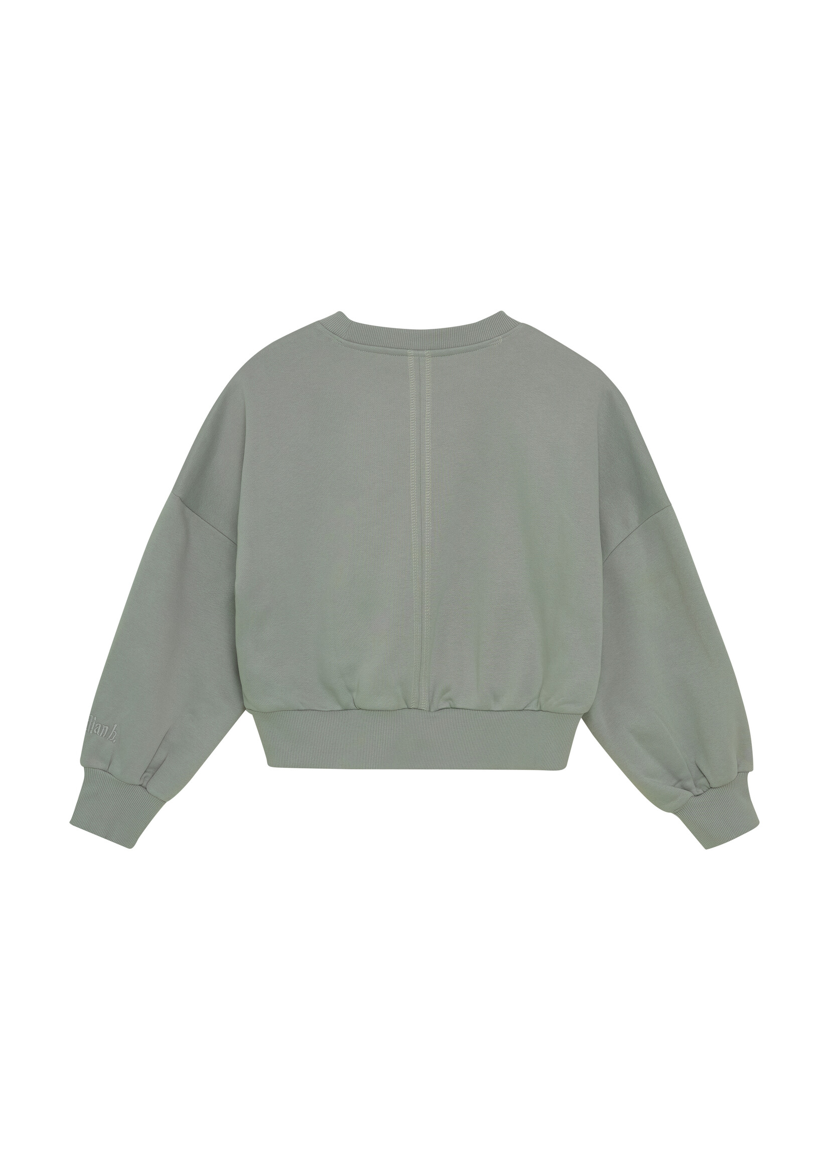 Indian blue jeans Sweater 970464 - lichtgroen