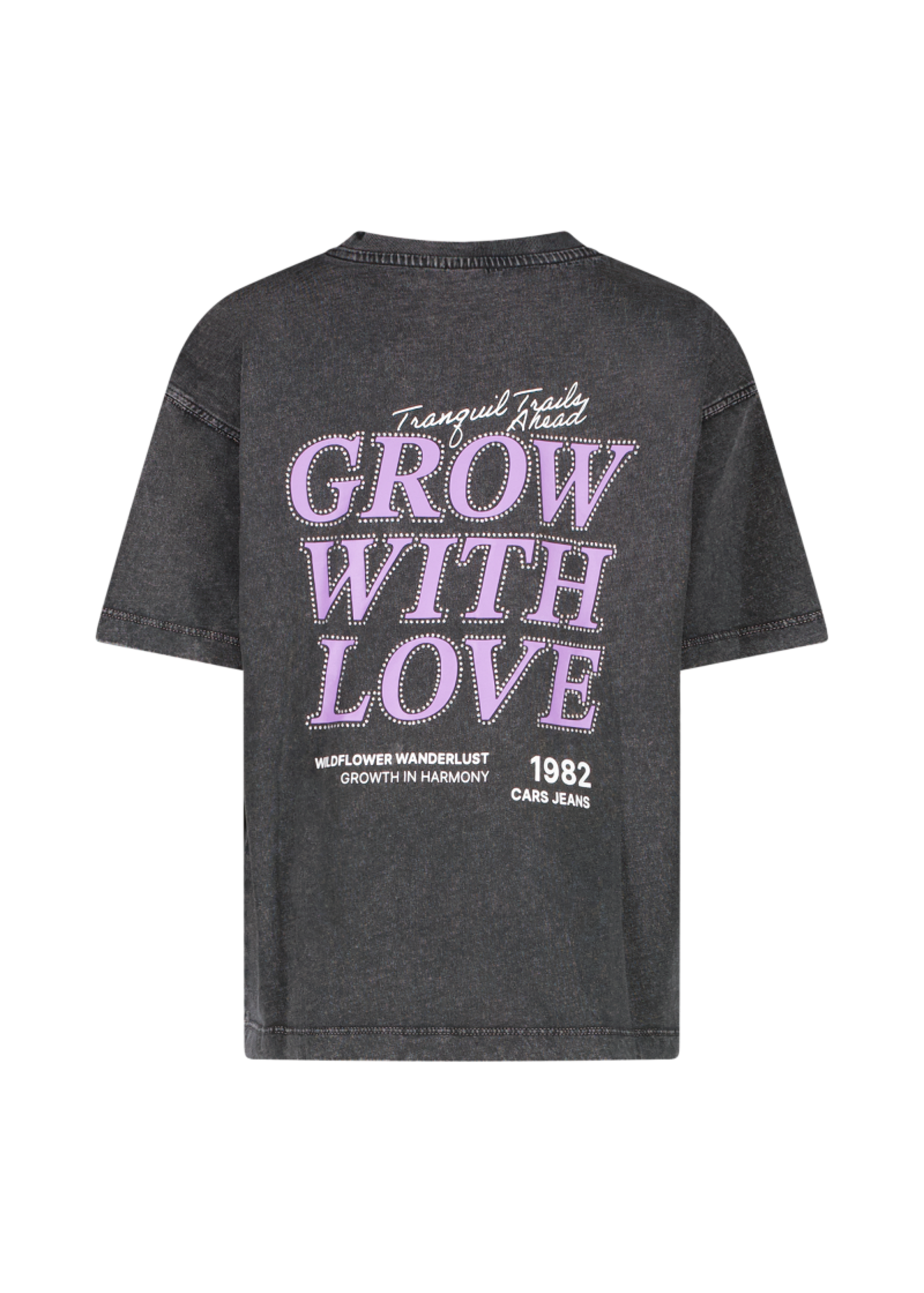 Cars T-shirt Rue - zwart