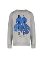 Cars Sweater Diso - grijs gemêleerd