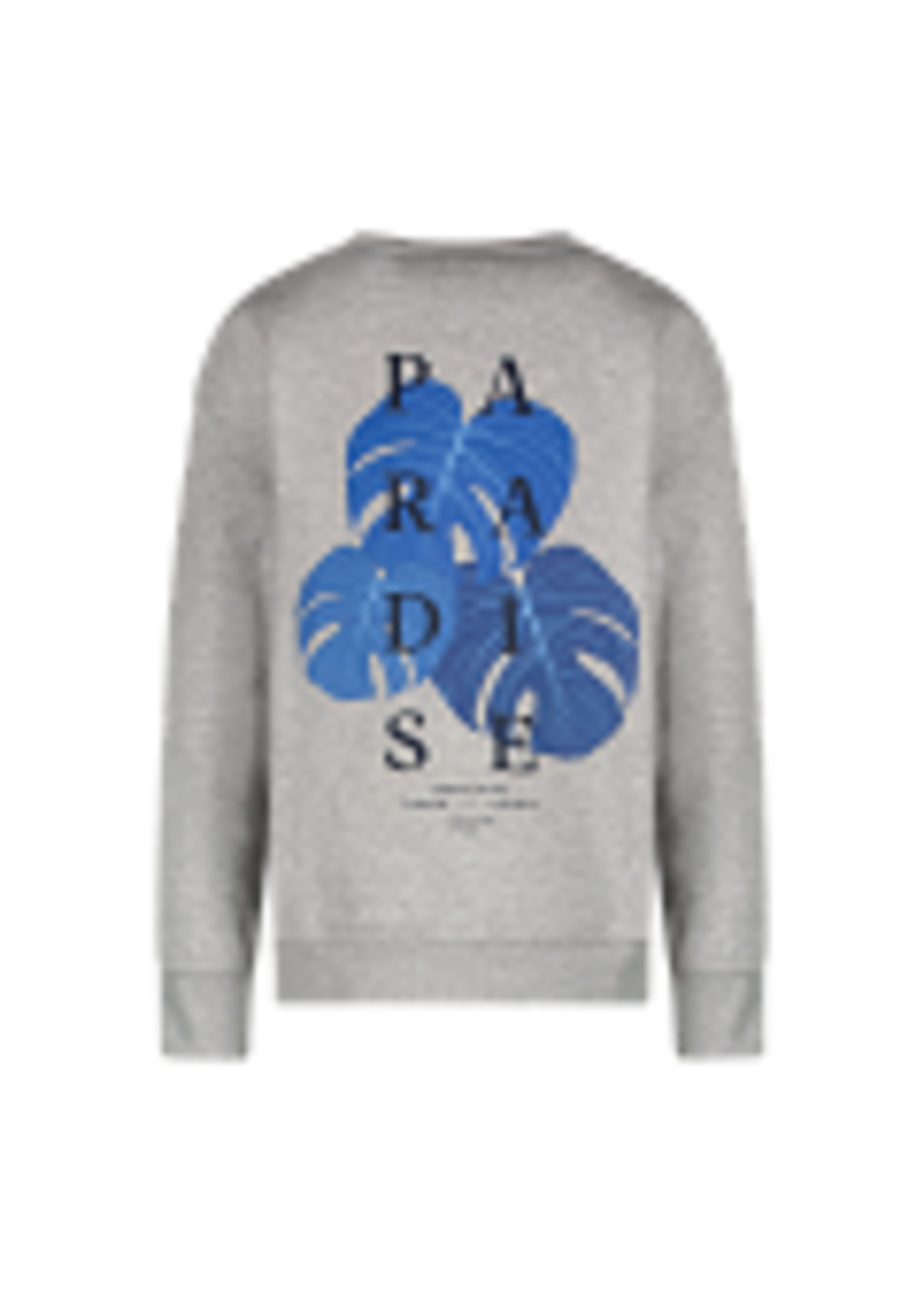 Cars Sweater Diso - grijs gemêleerd