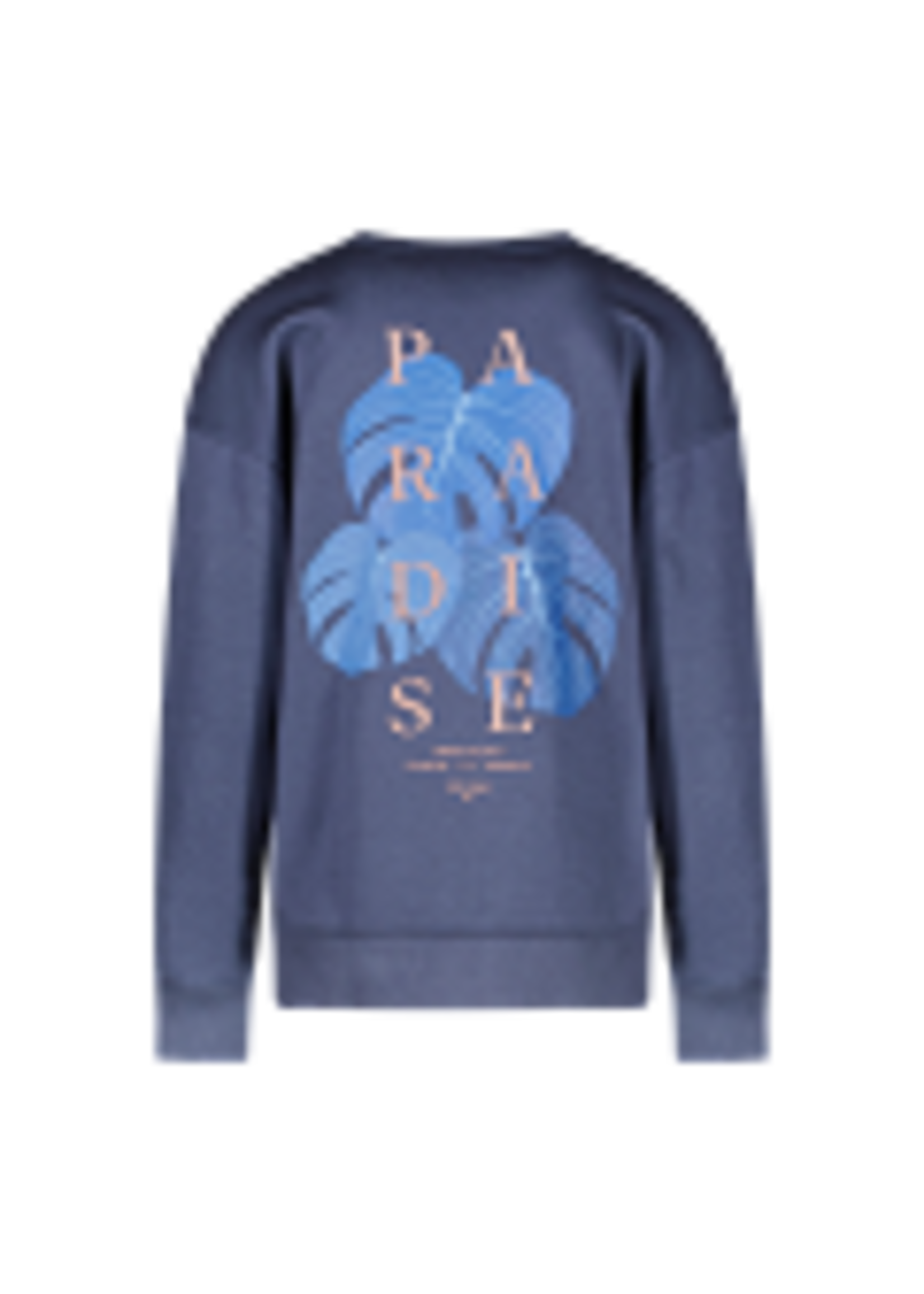 Cars Sweater Diso - donkerblauw