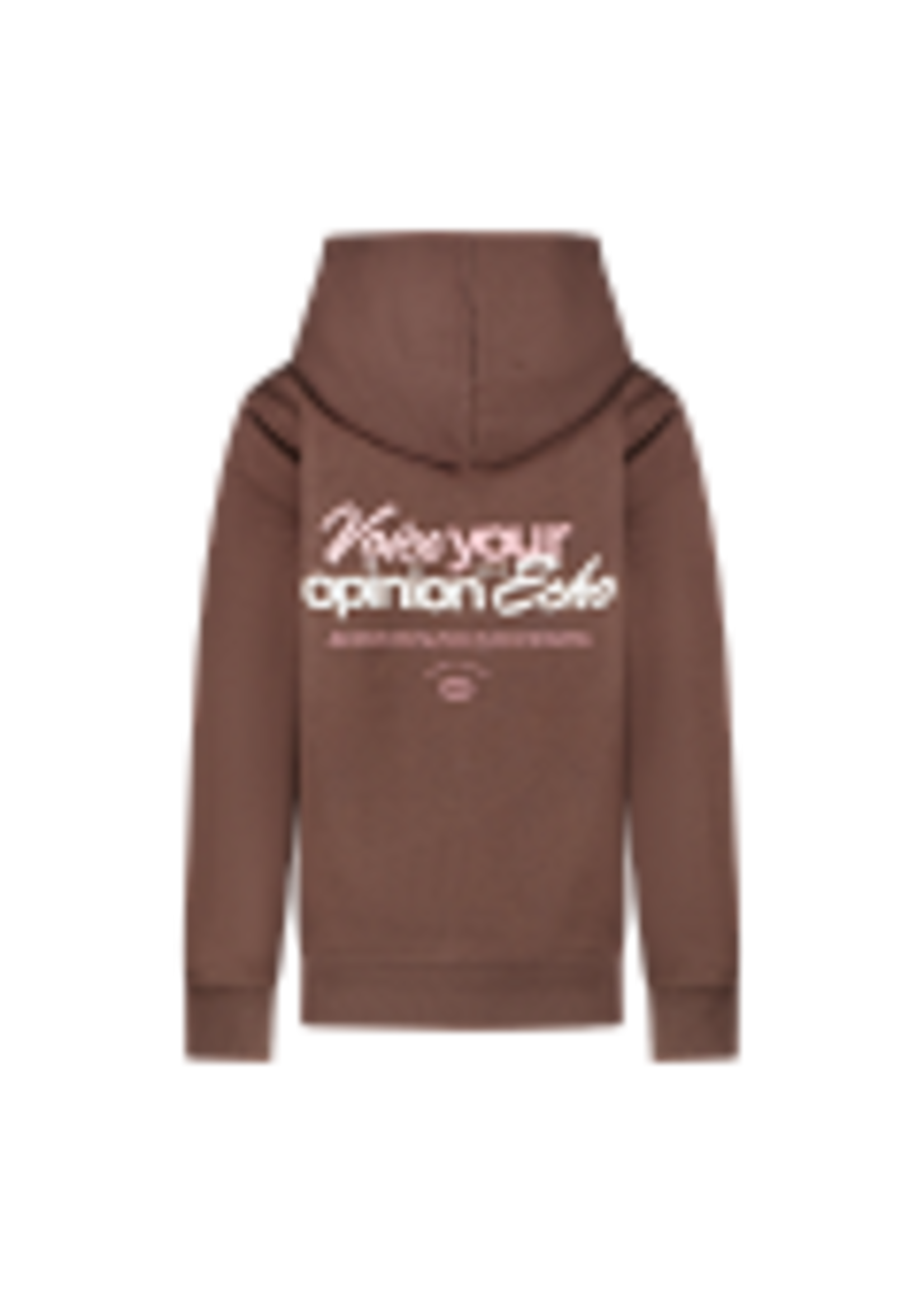 Cars Hoodie Echo - bruin