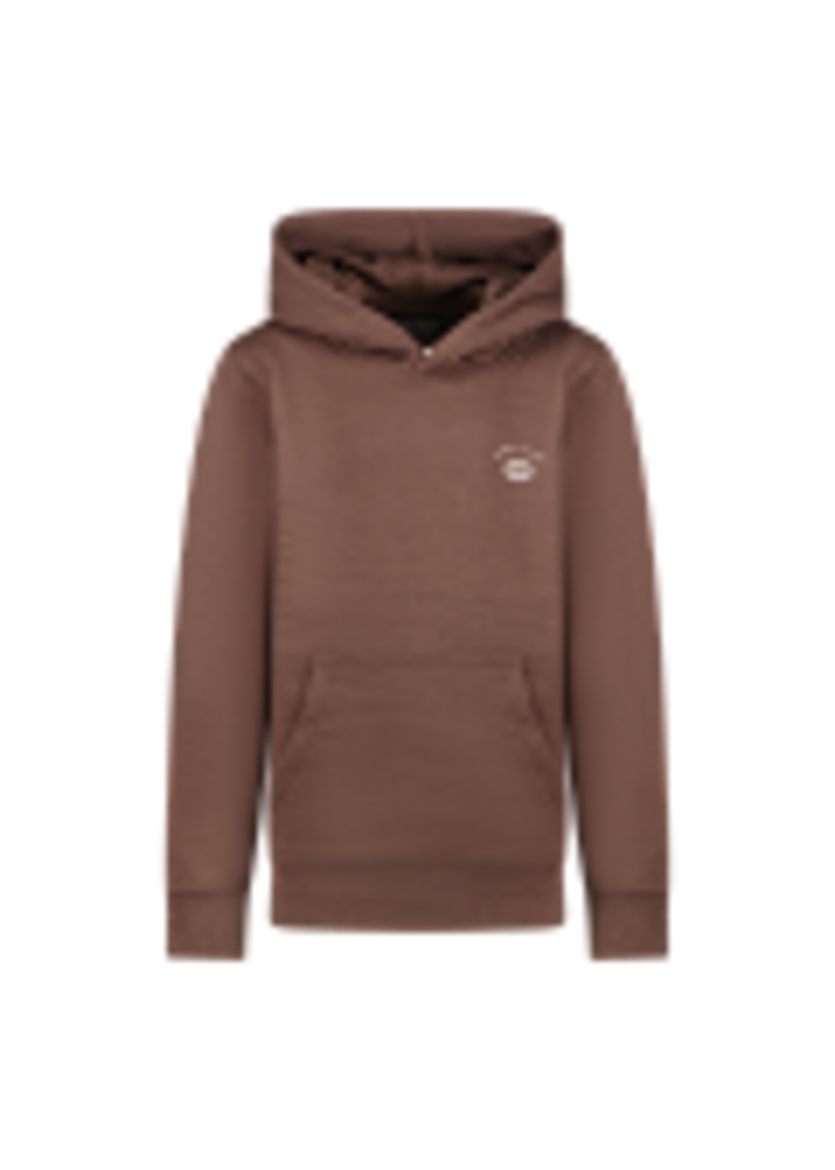 Cars Hoodie Echo - bruin