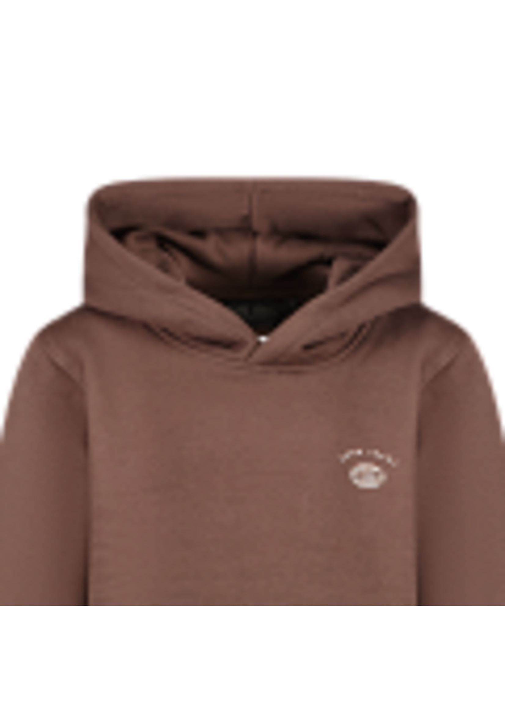 Cars Hoodie Echo - bruin
