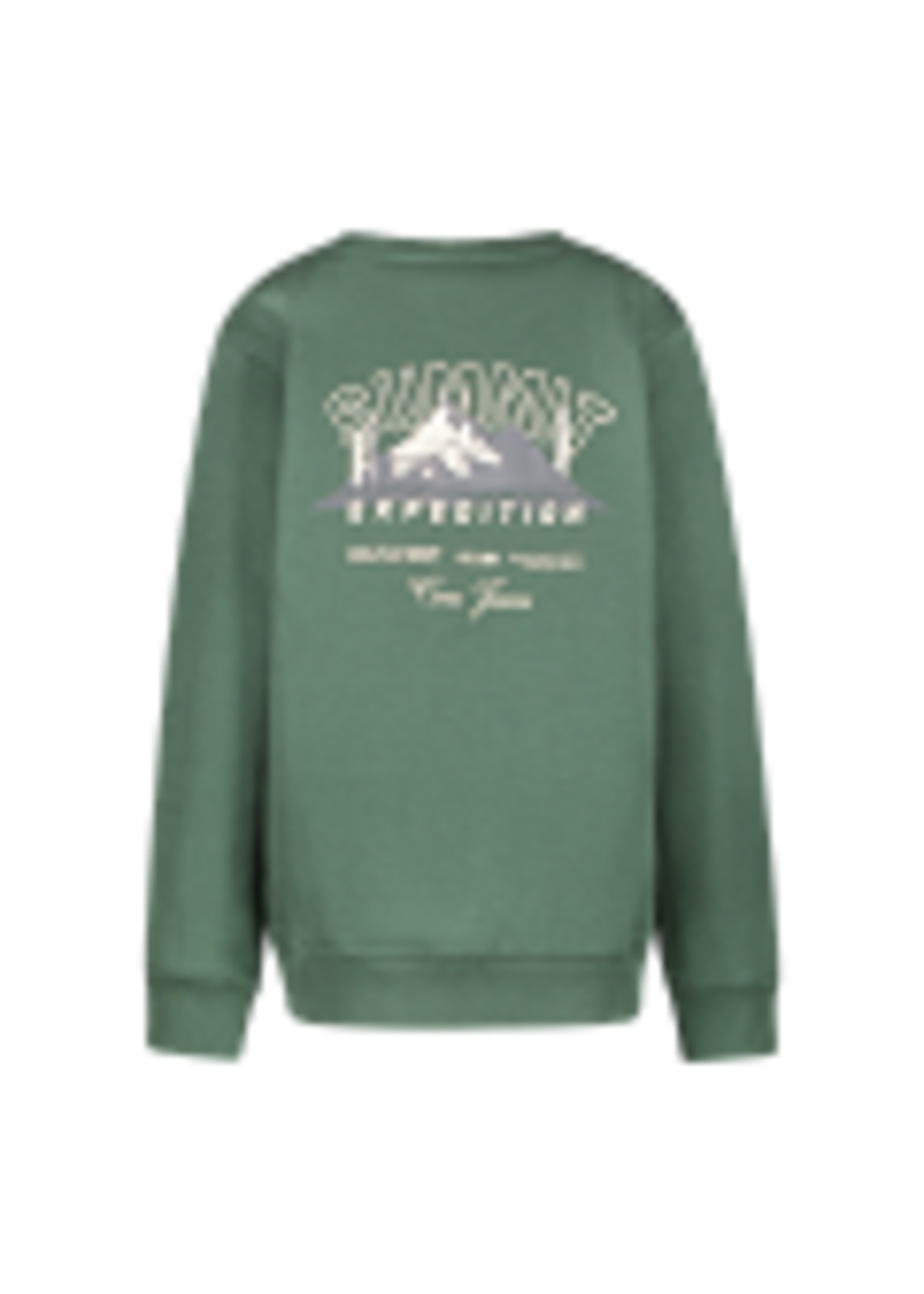 Cars Sweater Taray - groen