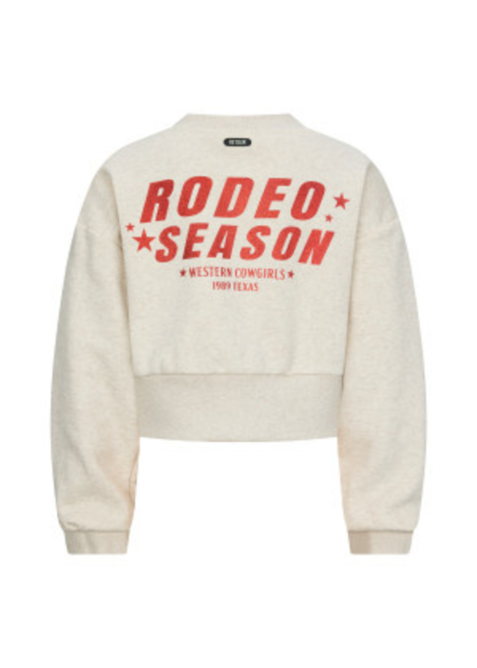 Retour Jeans Sweater  Fallon (RJG-053-708) - zand melange